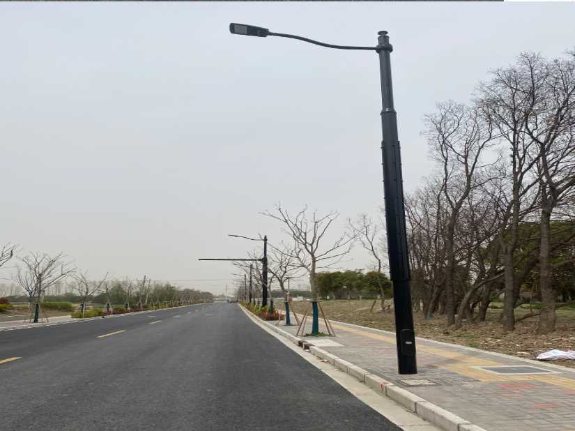 济南市上海综合杆 太阳能路灯工程